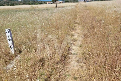 Terreno para Venda em Silves