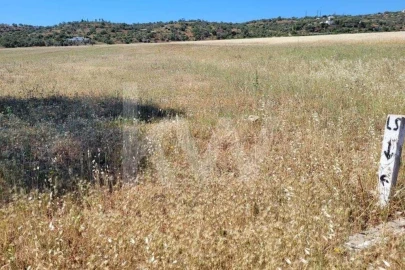 Terreno para Venda em Silves
