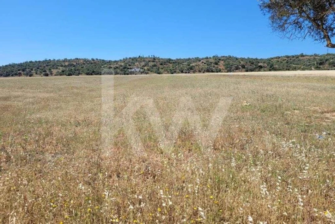 Terreno para Venda em Silves Foto 8