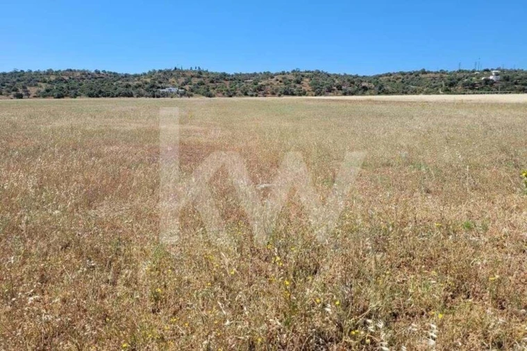 Terreno para Venda em Silves Foto 13