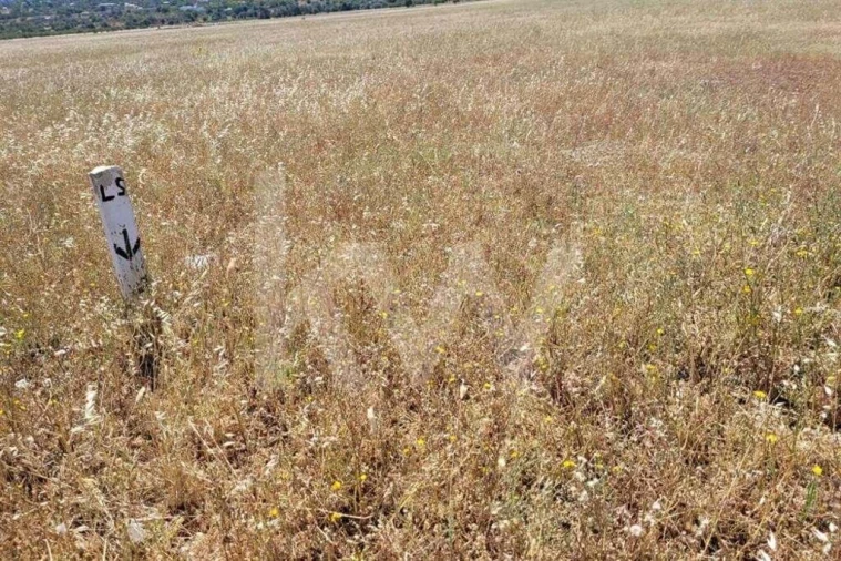 Terreno para Venda em Silves Foto 12