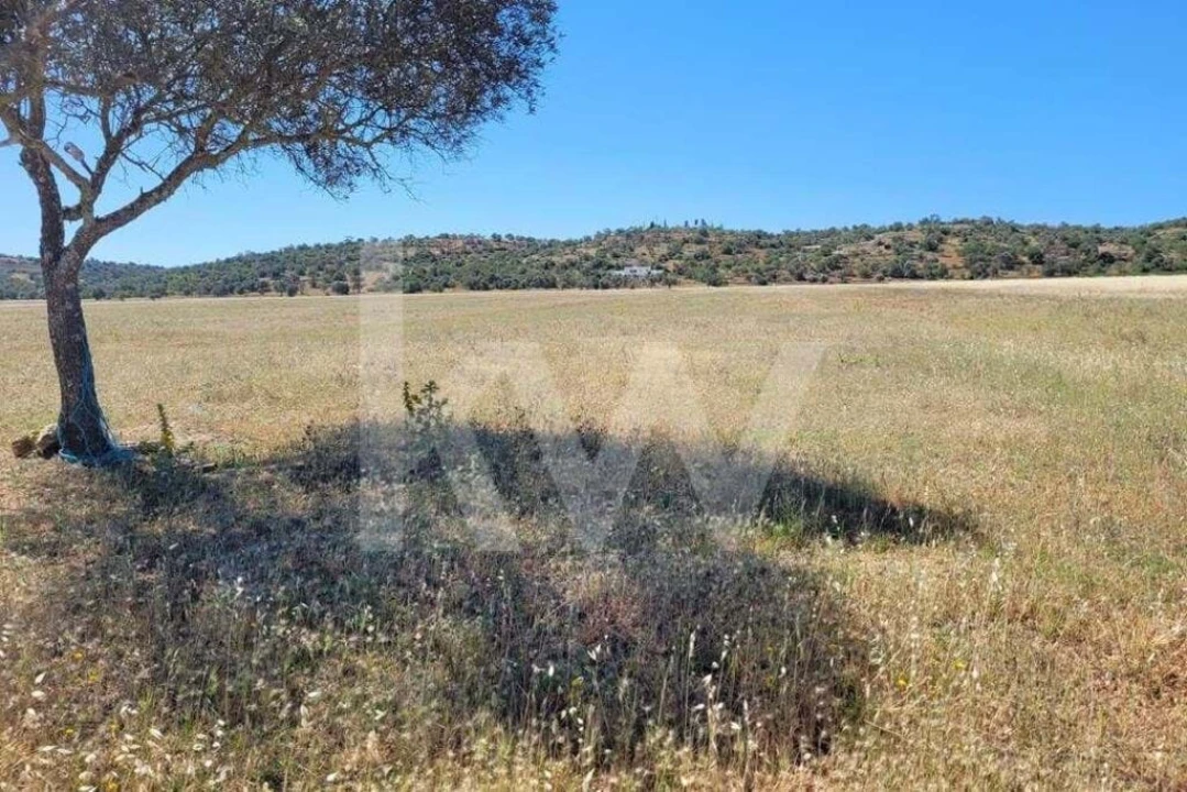 Terreno para Venda em Silves Foto 9