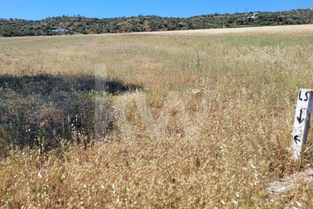 Terreno para Venda em Silves Foto 10