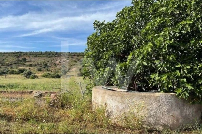 Terreno para Venda em São Bartolomeu de Messines