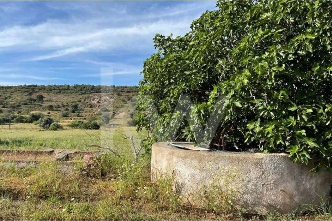 Terreno para Venda em São Bartolomeu de Messines Foto 1