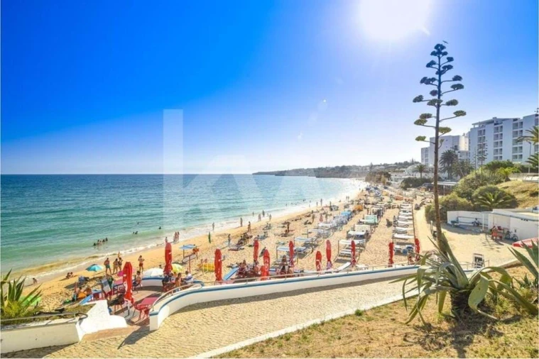 Terreno para Venda em Armação de Pera Foto 9