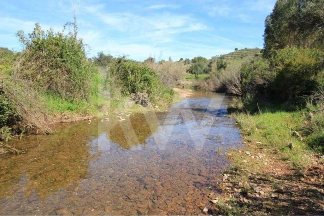 Quinta T8 para Venda em São Bartolomeu de Messines Foto 29