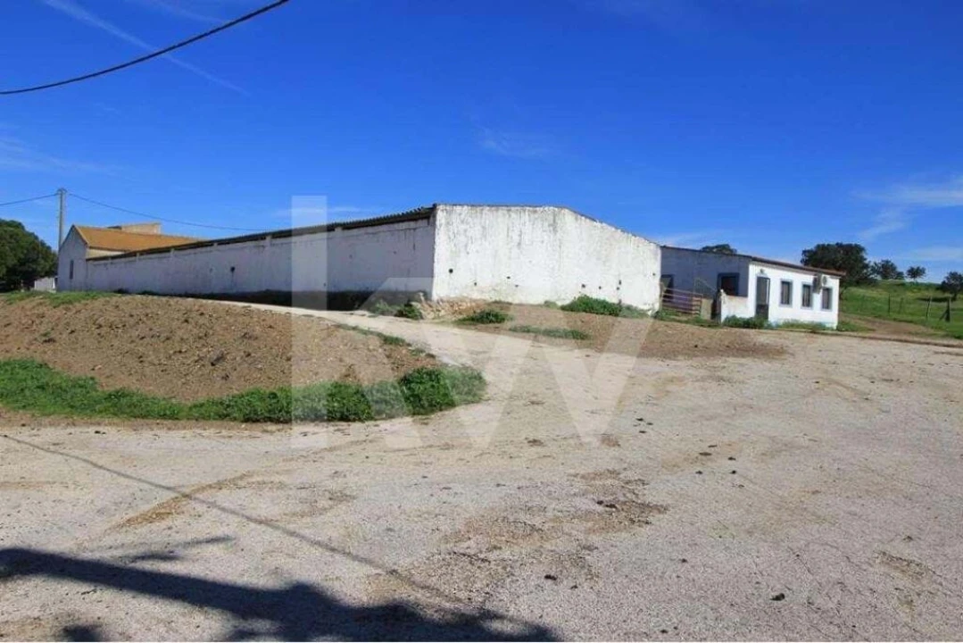 Quinta T8 para Venda em São Bartolomeu de Messines Foto 10