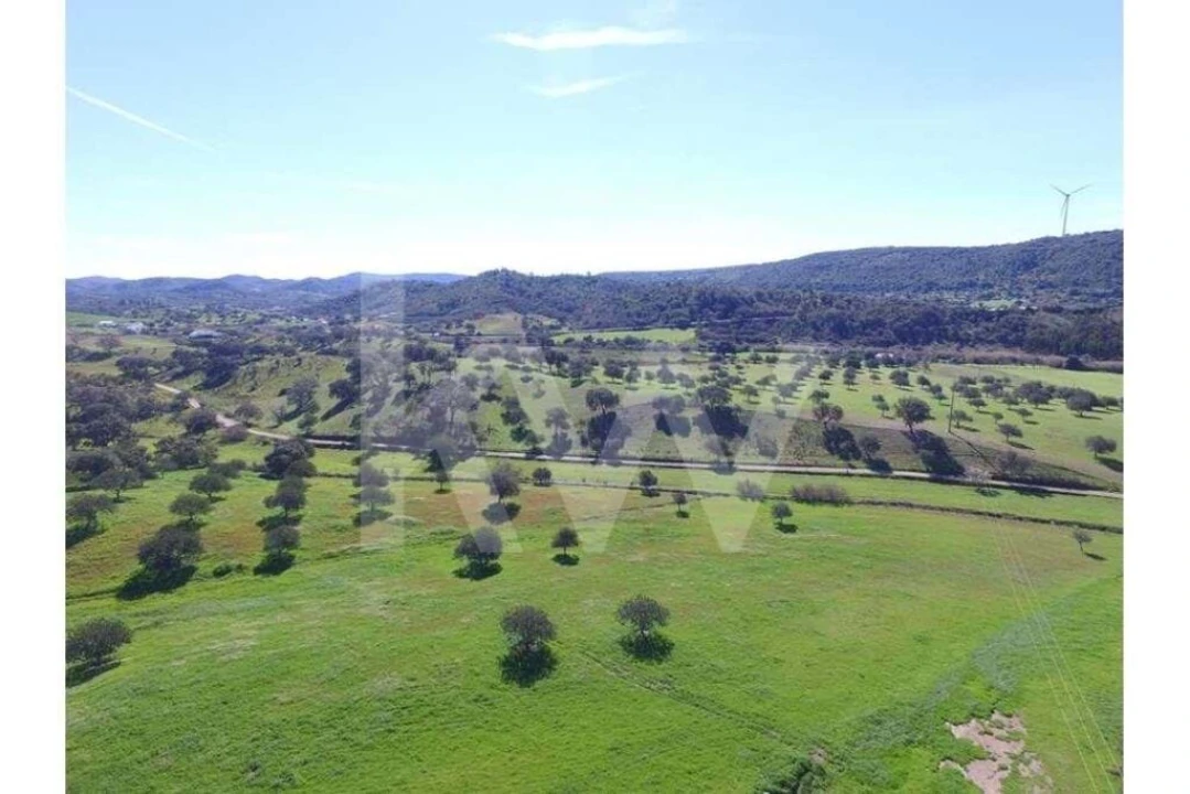 Quinta T8 para Venda em São Bartolomeu de Messines Foto 20