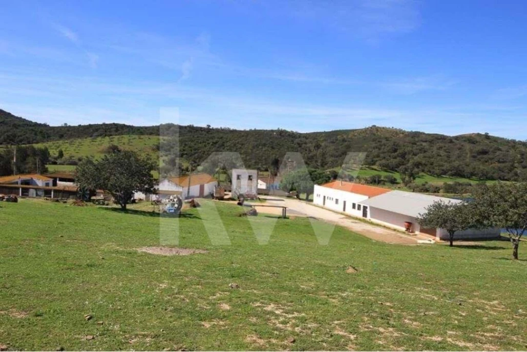 Quinta T8 para Venda em São Bartolomeu de Messines Foto 9