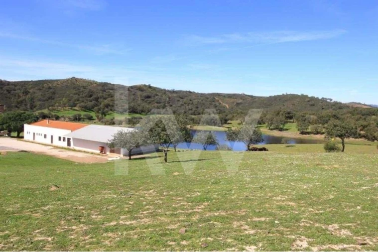 Quinta T8 para Venda em São Bartolomeu de Messines Foto 19