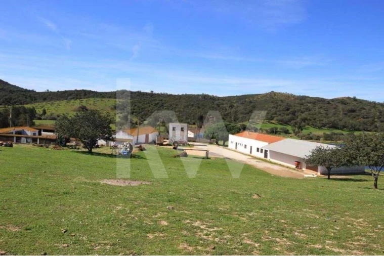 Quinta T8 para Venda em São Bartolomeu de Messines Foto 9