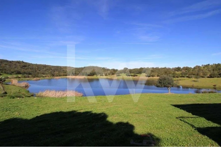 Quinta T8 para Venda em São Bartolomeu de Messines Foto 15