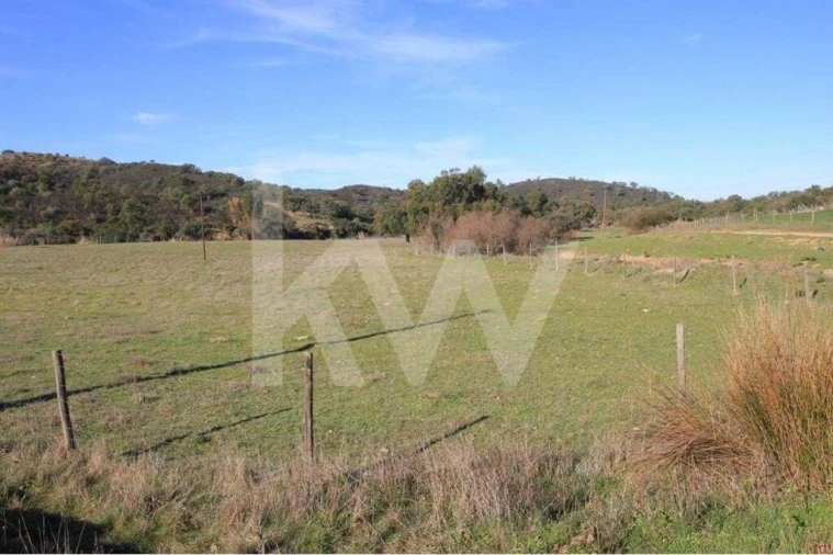 Quinta T8 para Venda em São Bartolomeu de Messines Foto 25