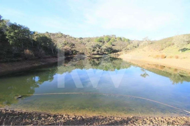 Quinta T8 para Venda em São Bartolomeu de Messines Foto 8