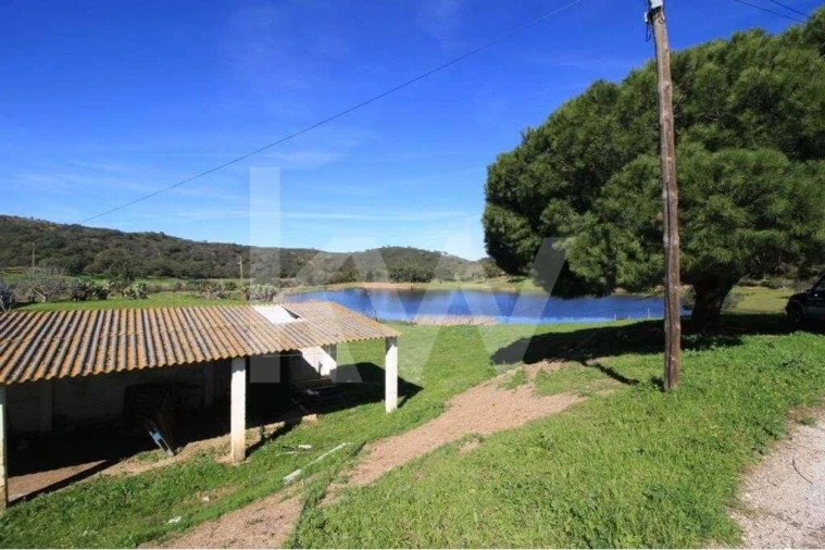 Quinta T8 para Venda em São Bartolomeu de Messines Foto 4