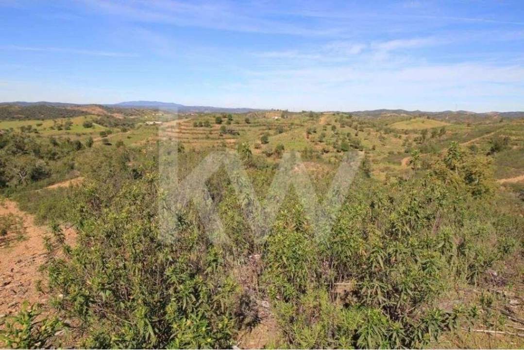 Quinta T8 para Venda em São Bartolomeu de Messines Foto 27