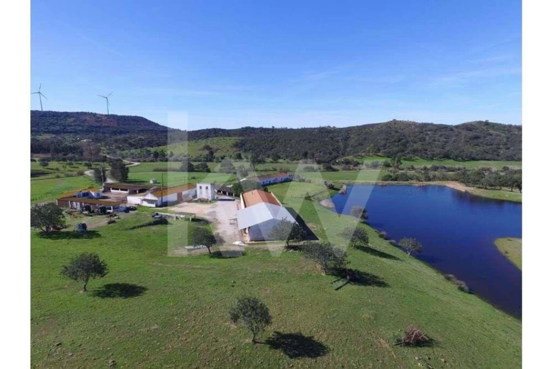 Quinta T8 para Venda em São Bartolomeu de Messines Foto 3