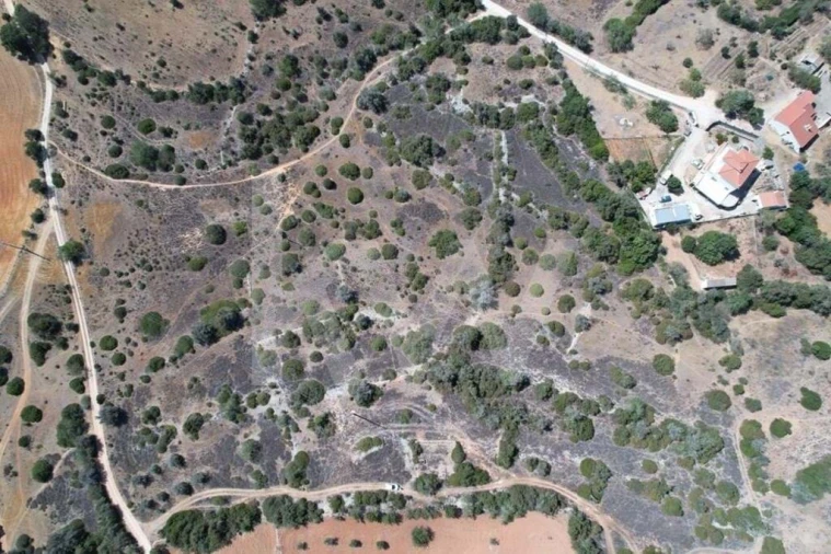 Terreno para Venda em Armação de Pera Foto 13