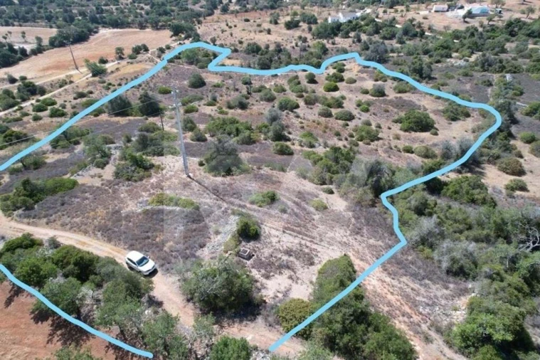 Terreno para Venda em Armação de Pera Foto 15