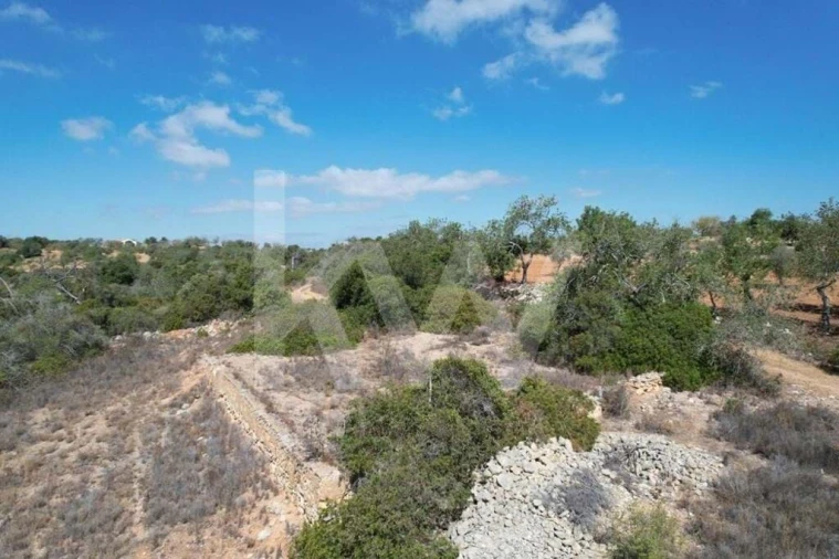 Terreno para Venda em Armação de Pera Foto 10