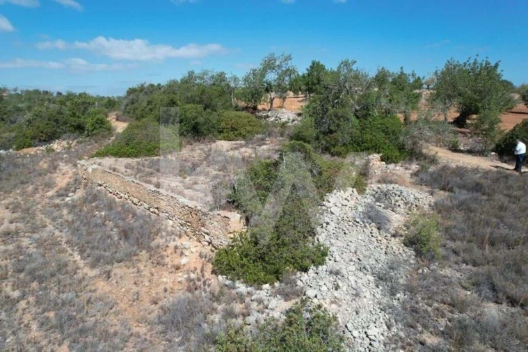 Terreno para Venda em Armação de Pera Foto 11