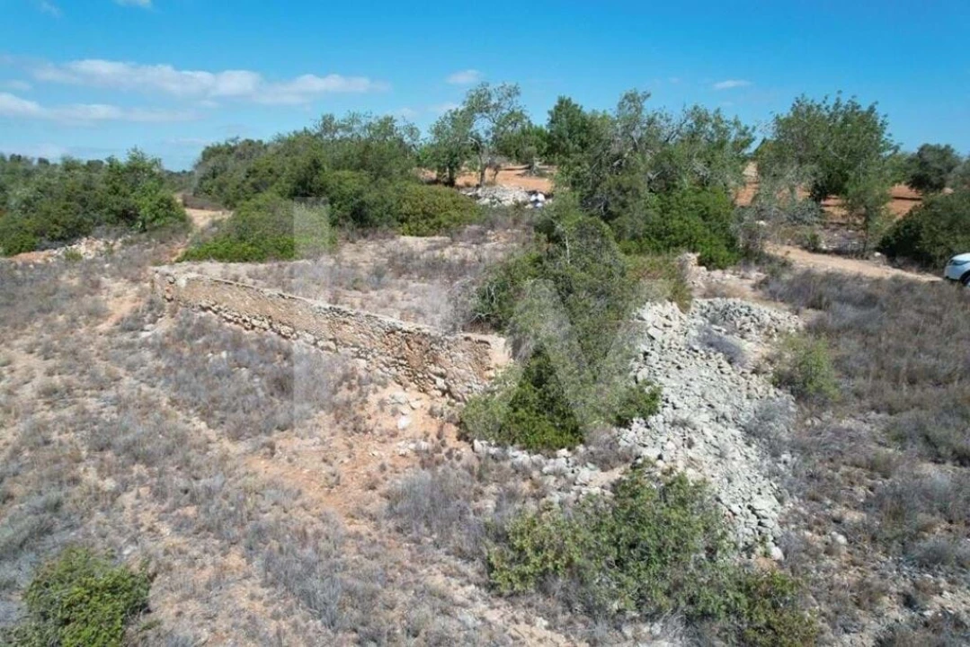 Terreno para Venda em Armação de Pera Foto 8