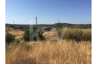 Terreno para Venda em São Silvestre