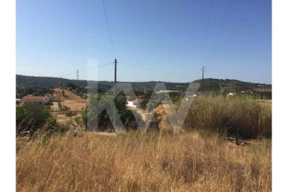 Terreno para Venda em São Silvestre