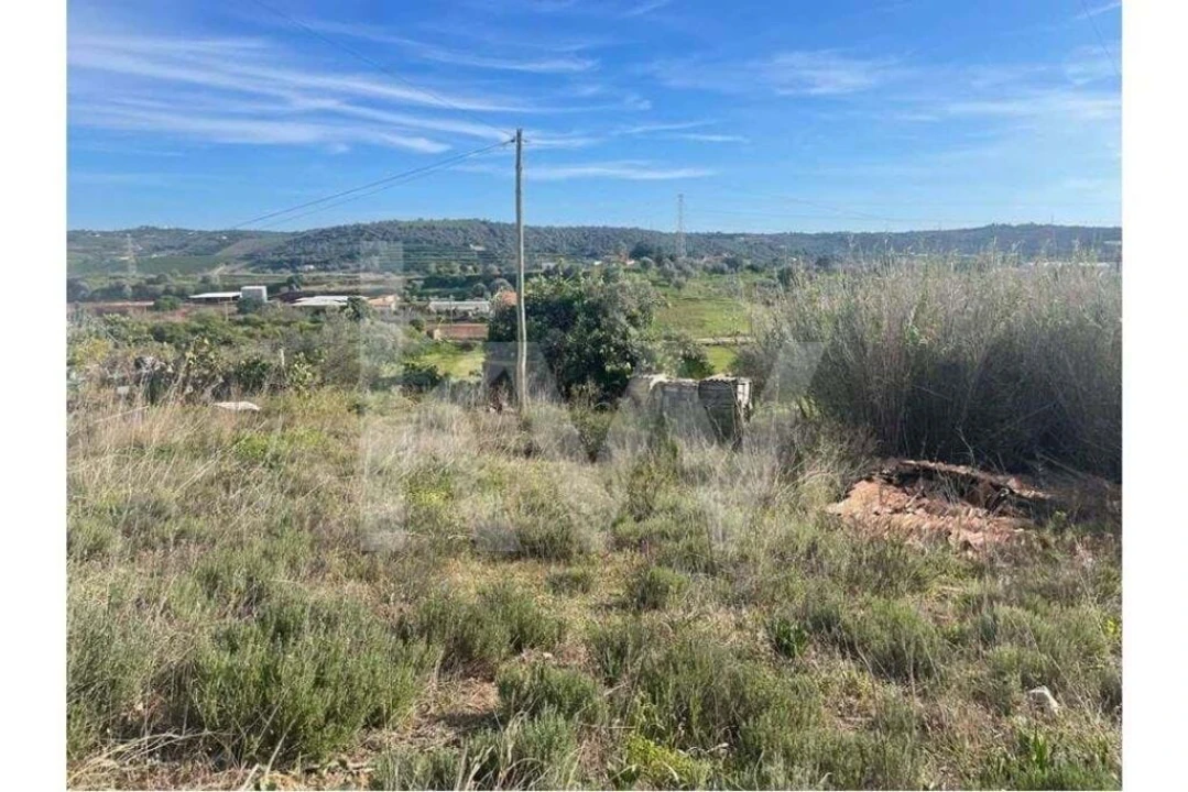 Terreno para Venda em São Silvestre Foto 2
