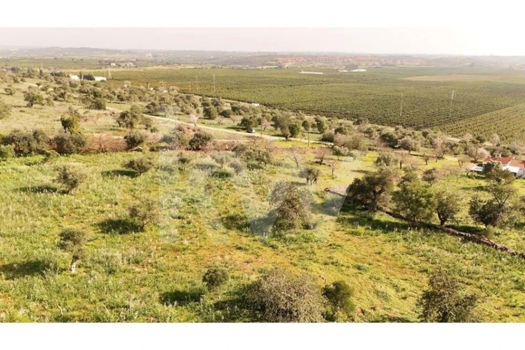 Terreno para Venda em Silves Foto 6