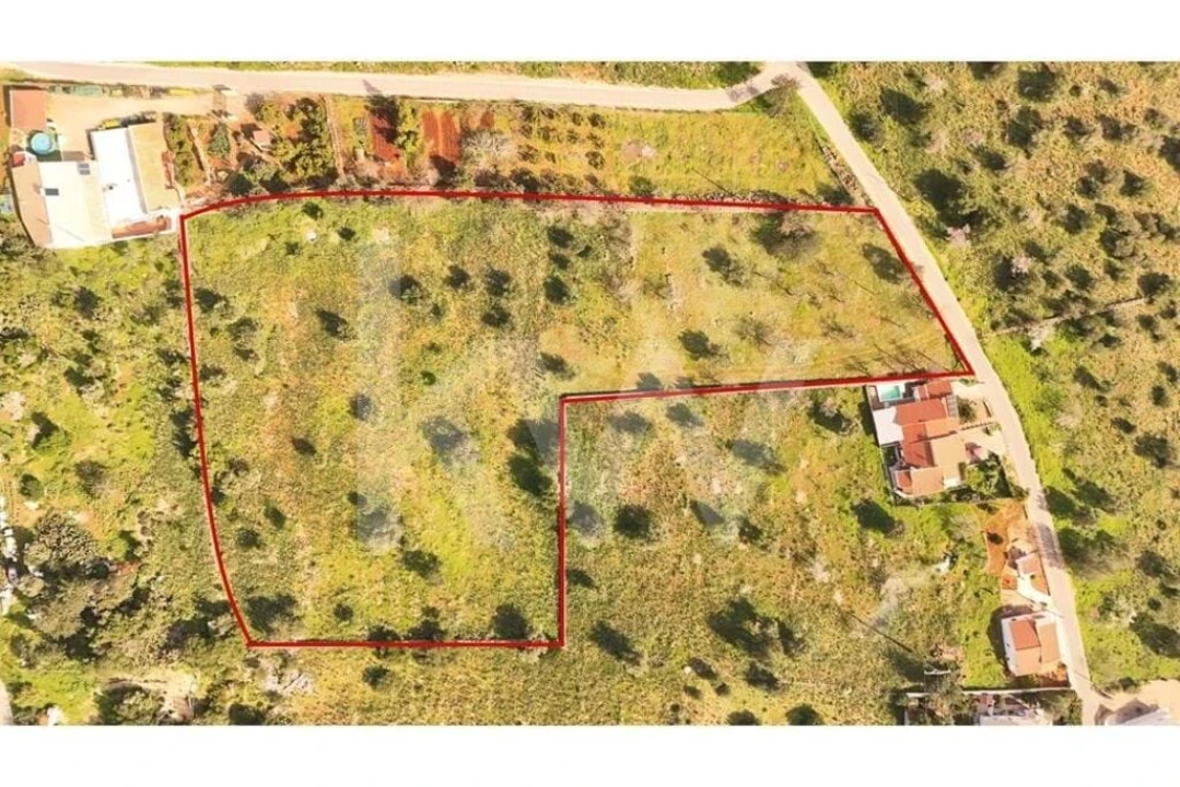 Terreno para Venda em Silves Foto 5