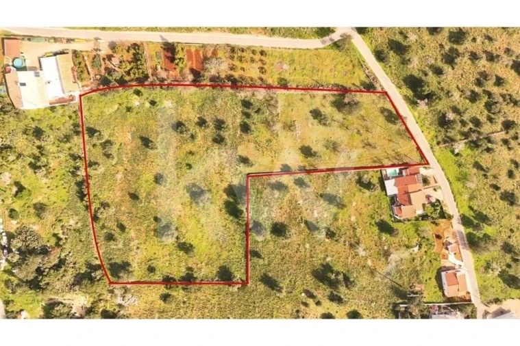 Terreno para Venda em Silves Foto 5