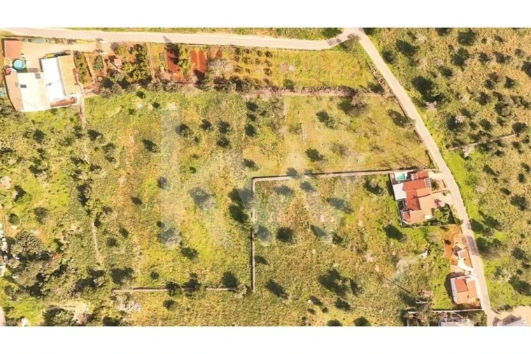 Terreno para Venda em Silves Foto 3