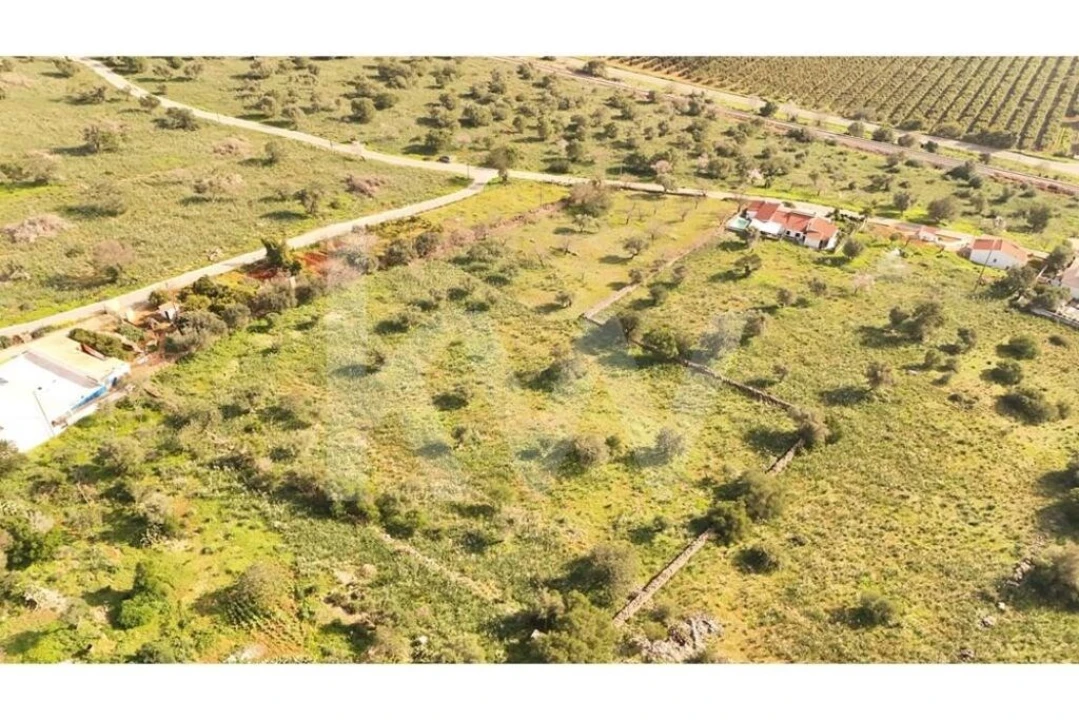 Terreno para Venda em Silves Foto 4