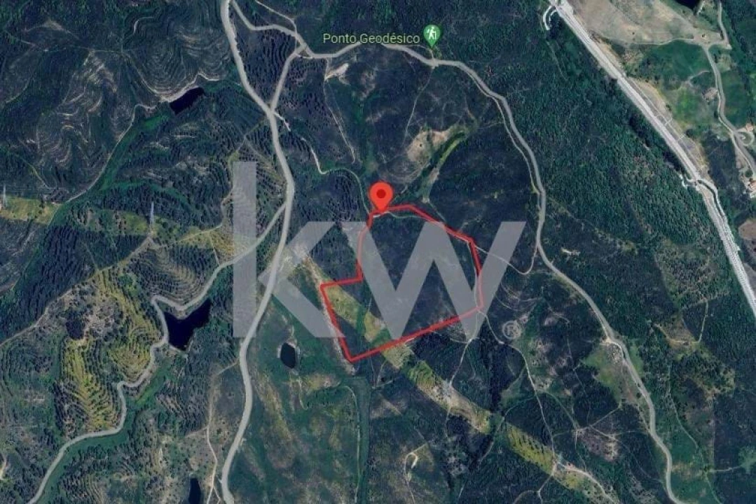 Terreno para Venda em São Bartolomeu de Messines Foto 1