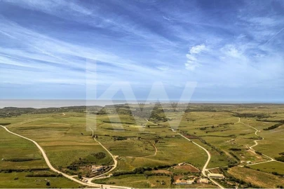 Terreno para Venda em Vila do Bispo e Raposeira