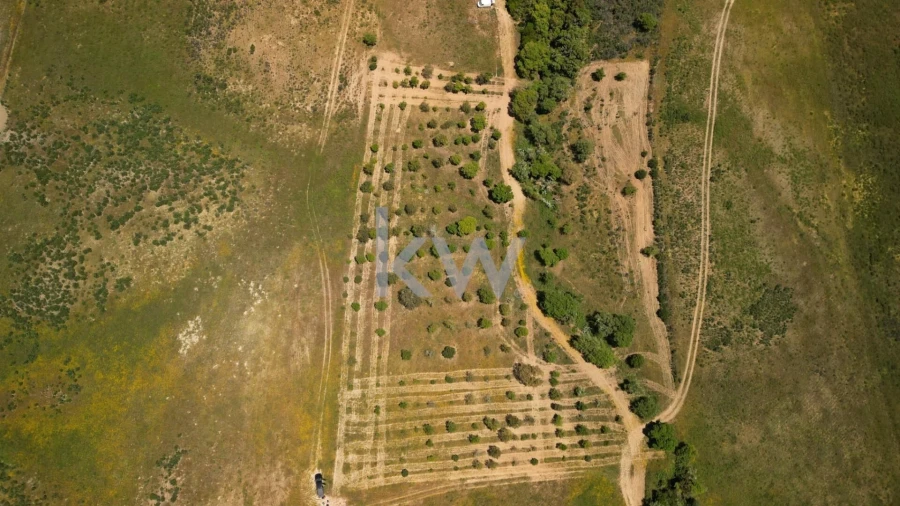 Terreno para Venda em Budens Foto 17
