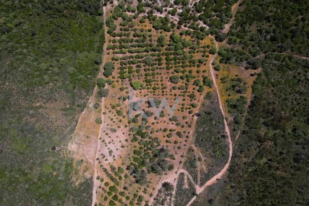 Quinta T2 para Venda em Budens Foto 21