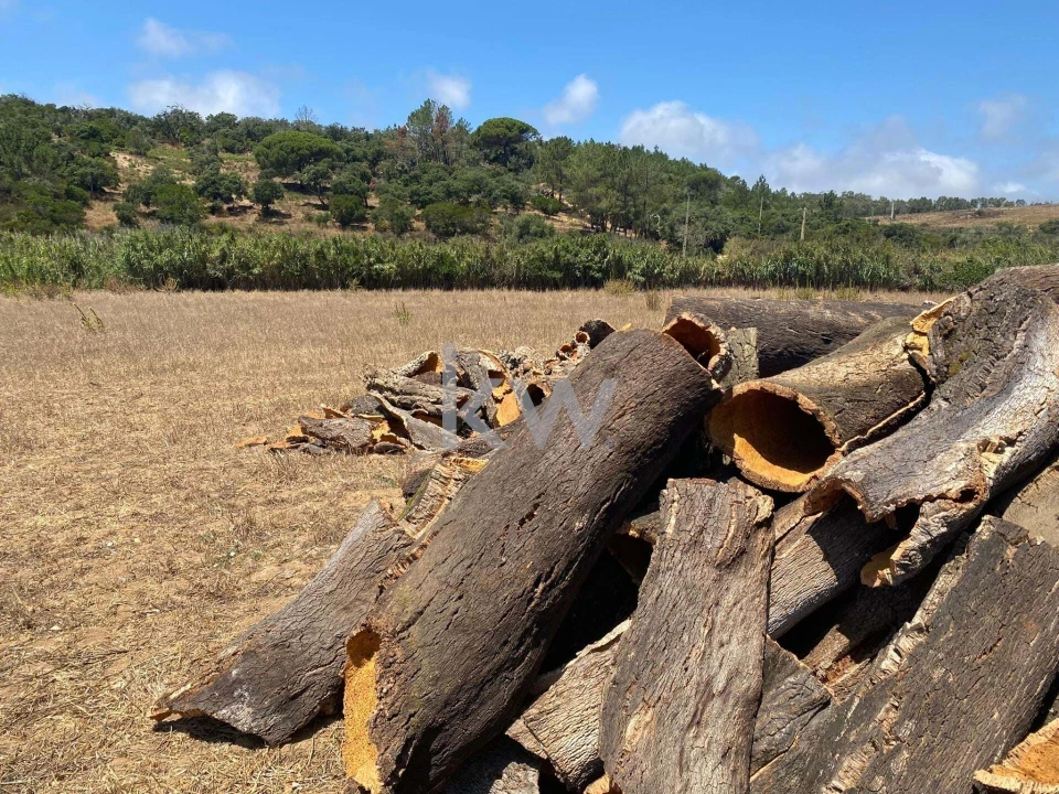 Quinta T2 para Venda em Budens Foto 46