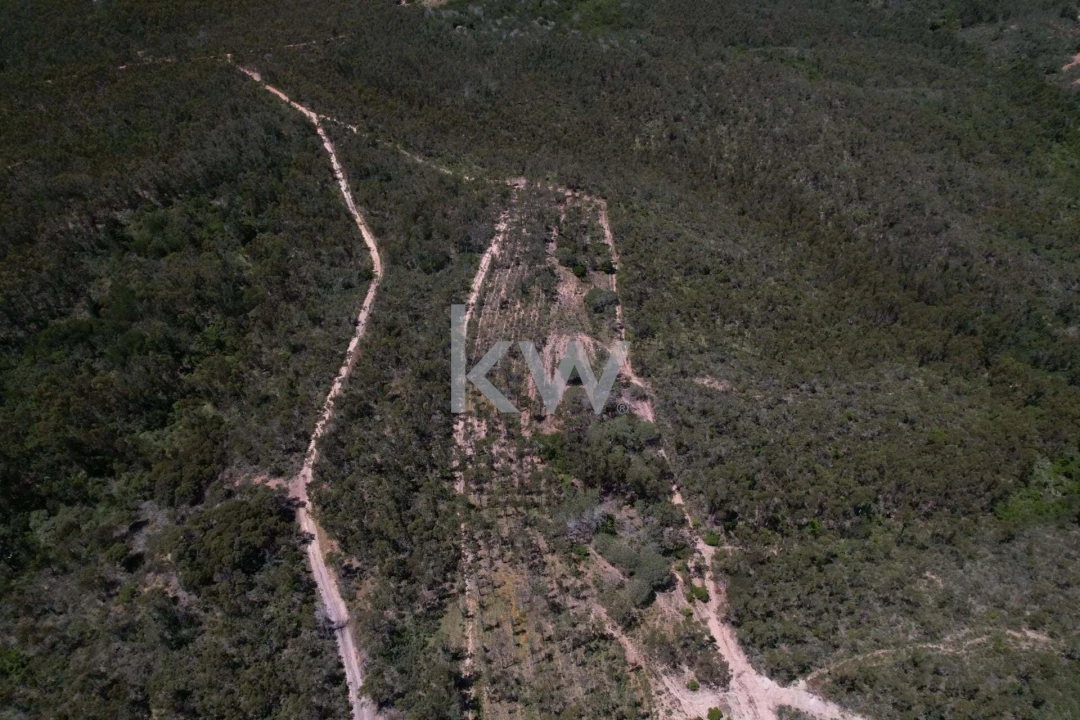 Quinta T2 para Venda em Budens Foto 15