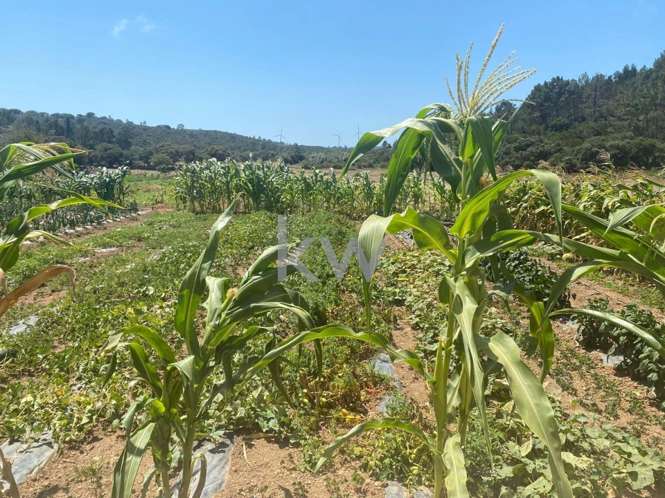 Quinta T2 para Venda em Budens Foto 48