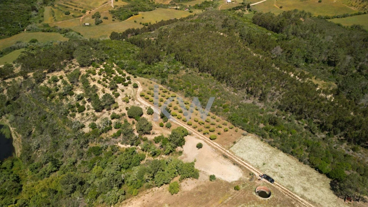 Quinta T2 para Venda em Budens Foto 2