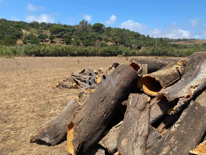 Quinta T2 para Venda em Budens Foto 46