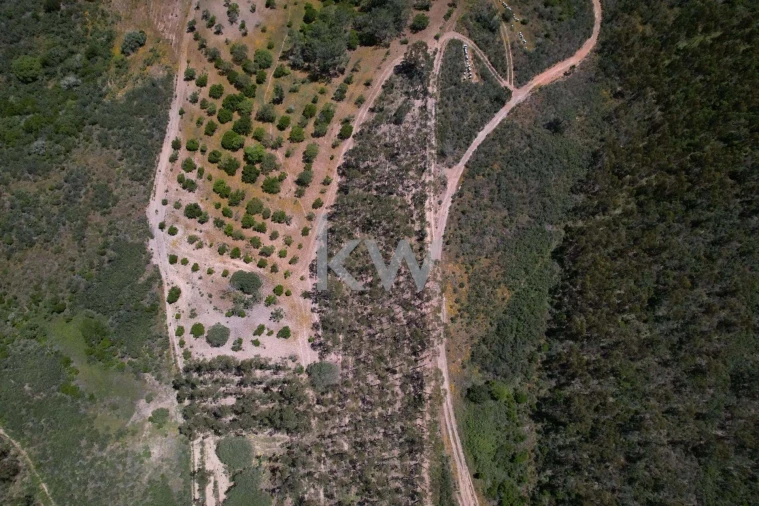 Quinta T2 para Venda em Budens Foto 17