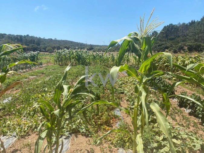 Quinta T2 para Venda em Budens Foto 48