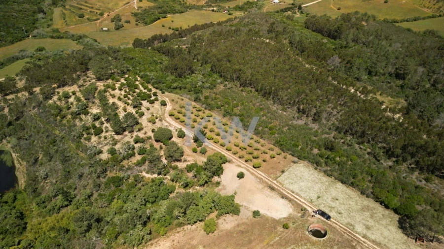 Quinta T2 para Venda em Budens Foto 2