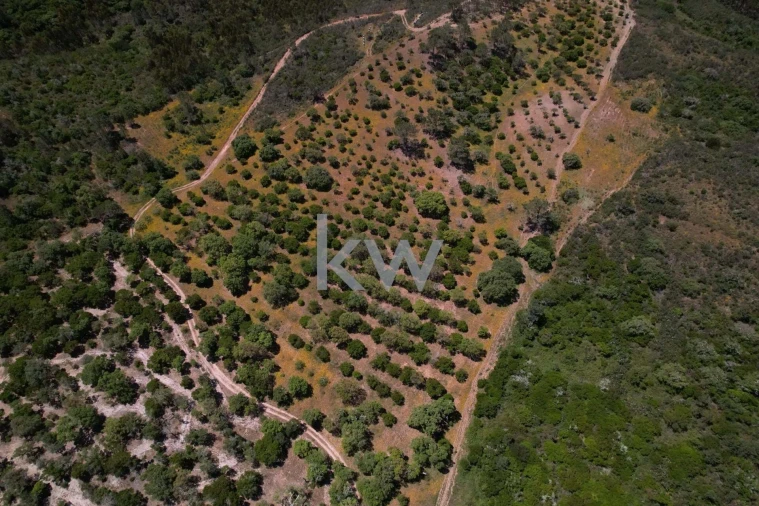 Quinta T2 para Venda em Budens Foto 14