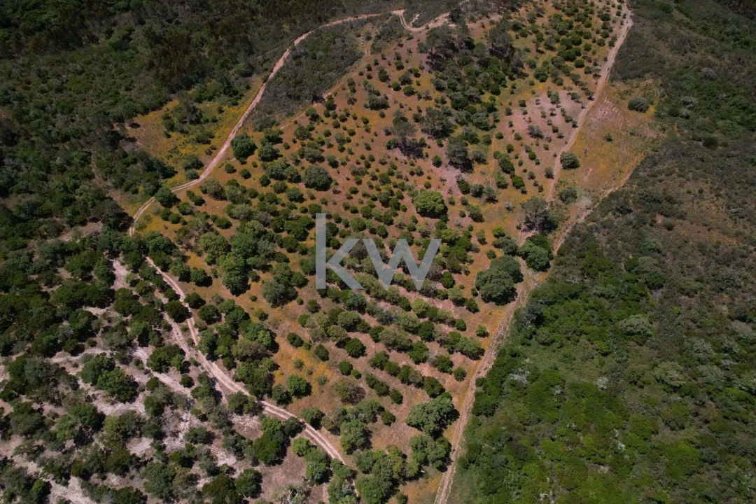 Quinta T2 para Venda em Budens Foto 14