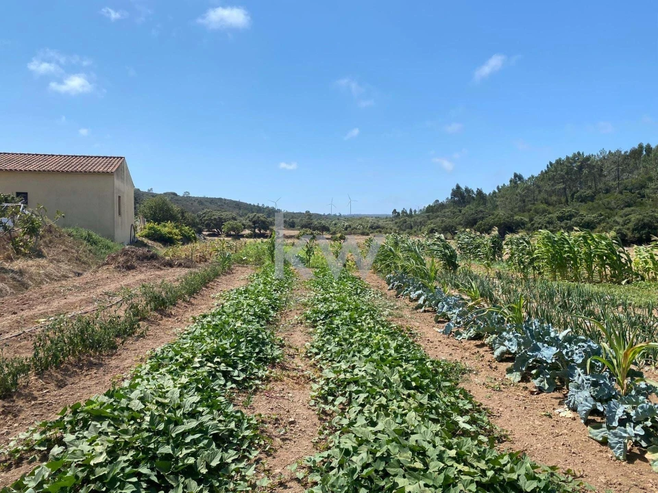 Quinta T2 para Venda em Budens Foto 49